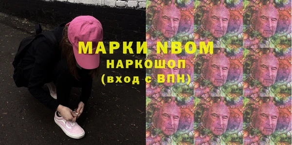 индика Вязьма