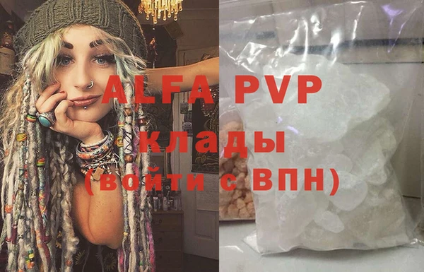 индика Вязьма