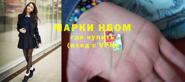 индика Вязьма