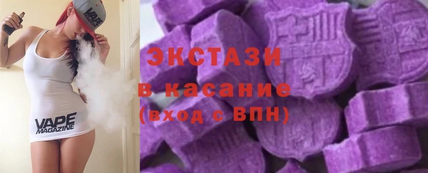 индика Вязьма