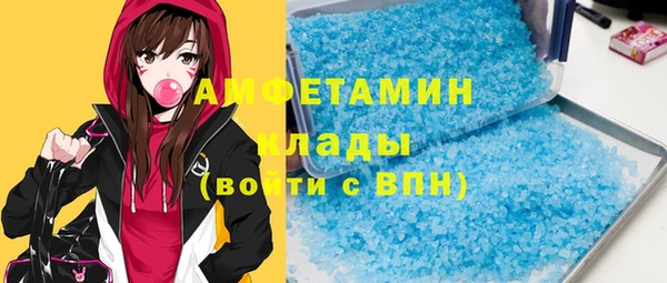 индика Вязьма