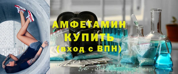 индика Вязьма