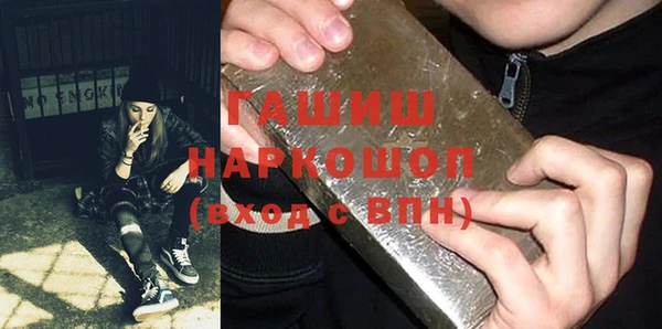 индика Вязьма