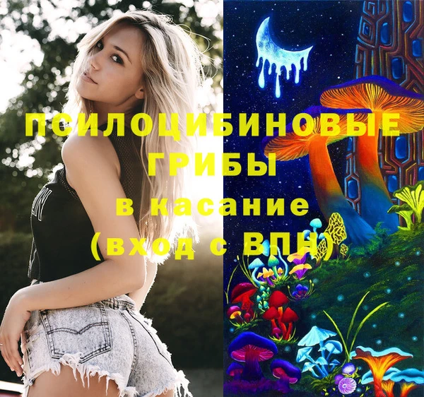 индика Вязьма
