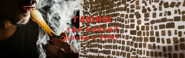 индика Вязьма