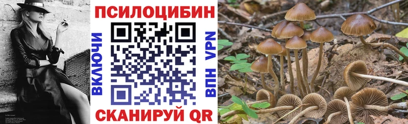 Галлюциногенные грибы Psilocybe  Купить  Каменск-Шахтинский 